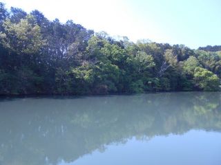 五月晴れ　生駒山麓歩き