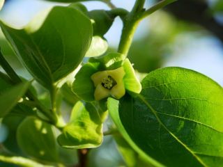 近所をぶらり散歩　暇～人