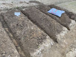 畝が出来ました