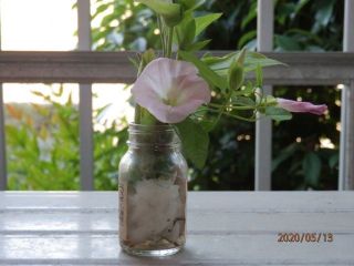 コロナに負けるな