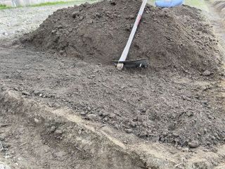 ズボラ百姓日記5月14日