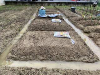 ズボラ百姓日記5月16日