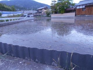 生駒　花だより
