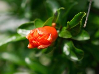 近所をぶらり散歩　暇～人