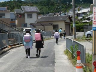 生駒　花だより