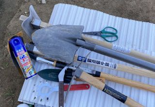 ズボラ百姓日記6月8日