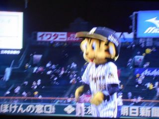 甲子園速報　４位に浮上