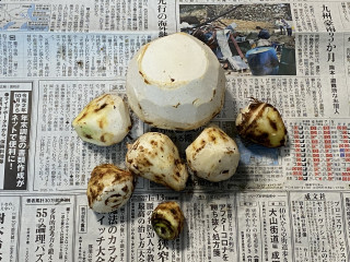 ズボラ百姓日記10月6日その３