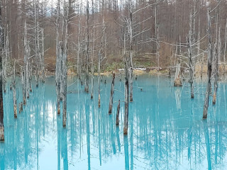 行ってきました北海道