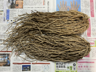 ズボラ百姓日記12月1日