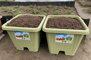 ズボラ百姓日記12月2日