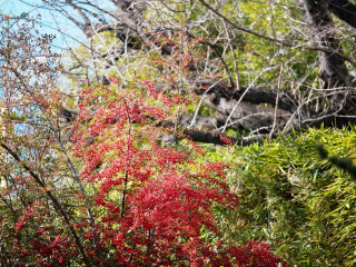 近所をぶらり散歩してきました。　暇～人