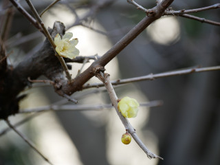 近所をぶらり散歩してきました。　暇～人