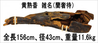 [麒麟がくる」と香合・合子展