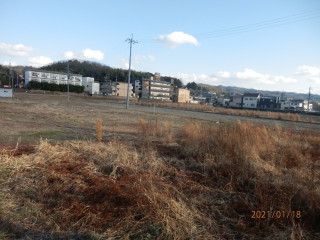 野鳥観察と弥生時代の遺跡