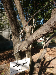 近所をぶらりポタリングしてきました。　暇～人