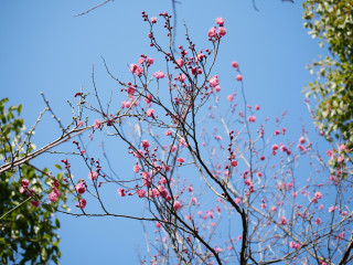 近所をぶらり散歩してきました。　暇～人