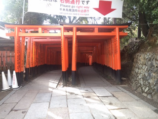 一足早く伏見稲荷の初午