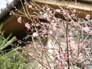 近所をぶらり散歩してきました。　暇～人