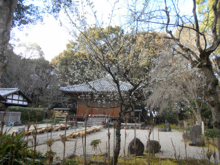 もうすぐ春ですね