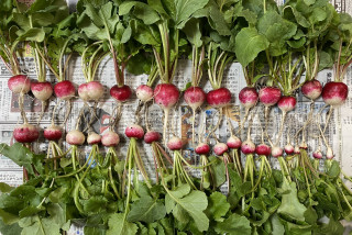 ズボラ百姓日記3月6日