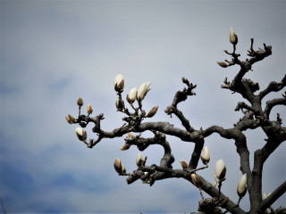 近所をぶらり散歩してきました。　暇～人