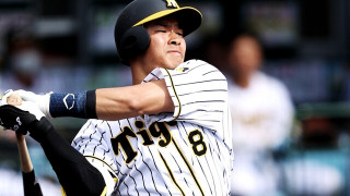 タイガース情報 オープン戦