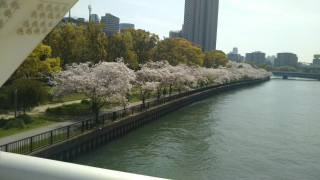久しぶりに大川へ