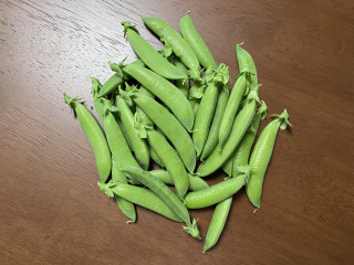 ズボラ百姓日記4月5日