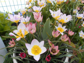 サンデースポーツ