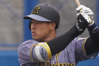 タイガース情報（ナゴヤ）