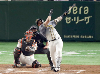 タイガース情報　東京ドーム