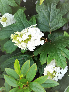 近所をぶらり散歩してきました。　暇～人