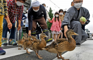 暑いですねえ　30度越え