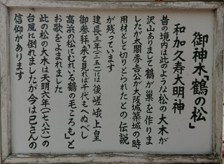 神社の境内で見つけた‥暇～人