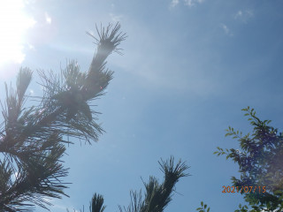 カミナリと豪雨