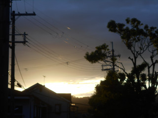 オリンピック観てますか