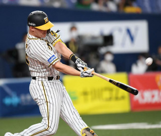 久しぶりタイガース情報