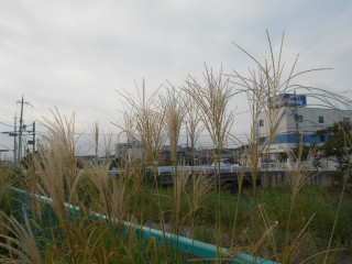 竜田川ぶらり歩き　