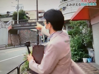 守口のまねきねこ