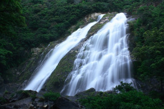 うえ爺のヒッチハイクで思い出しました