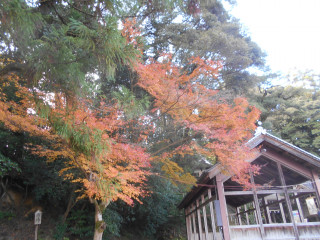 竜田川～生駒神社ぶらり歩き　