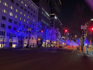 御堂筋イルミネーション