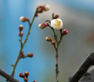 近所をぶらり散歩してきました。　暇～人