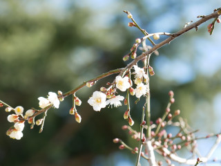 近所をぶらり散歩してきました。　暇～人