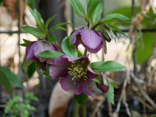 近所をぶらり散歩してきました。　暇～人