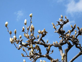 近所をぶらり散歩してきました。　暇～人