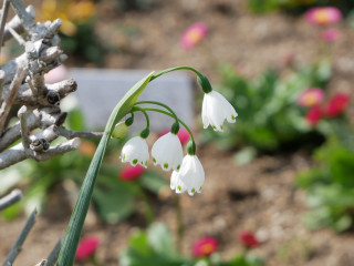 近所をぶらり散歩してきました。　暇～人
