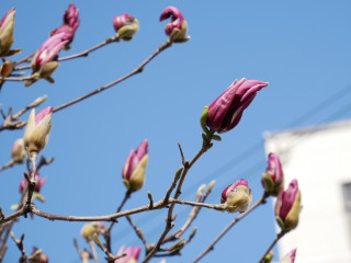 近所をぶらり散歩してきました。　暇～人