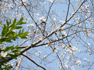 近所をぶらり散歩してきました。　暇～人